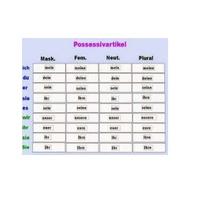 Possessive Article German I-BGER101L