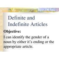 Definite and Indefinite Articles Spanish 1 - BESP101L